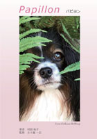 papillon パピヨン